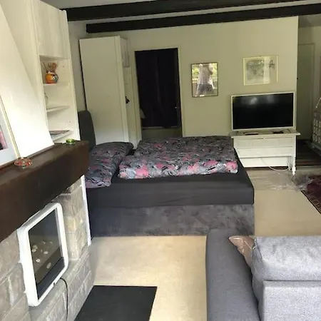 Alpine Retreat: Ski-in Access With Wellness Amenities *