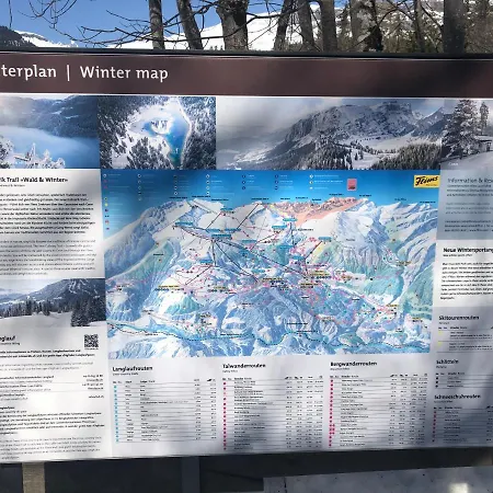 Apartment Alpine Retreat: Ski-in Access With Wellness Amenities