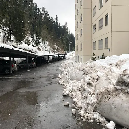 Alpine Retreat: Ski-in Access With Wellness Amenities