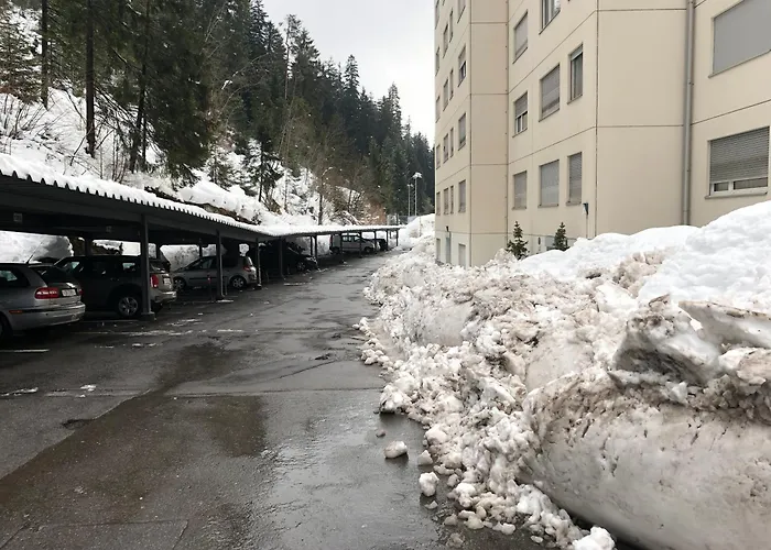 With Indoor And Outside Pool, Sauna, 200 Meter To Lift , Fitnessroom, Tennis Place, Joyroom, Parkstadion Reserve