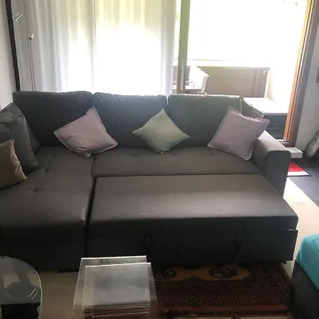 With Indoor And Outside Pool, Sauna, 200 Meter To Lift , Fitnessroom, Tennis Place, Joyroom, Parkstadion Reserve Laax